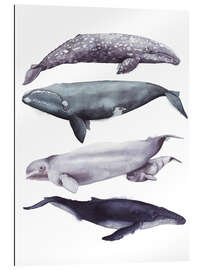 Gallery print Whales II