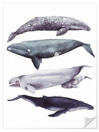 Selvklebende plakat Whales II