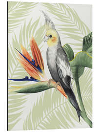 Magnettafel Nymphensittich II