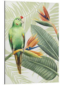 Aluminium print Amazon parrot