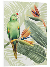 Foam board print Amazon parrot