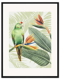 Gerahmter Kunstdruck Amazonenpapagei
