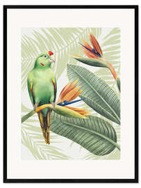 Innrammet kunsttrykk Amazon parrot