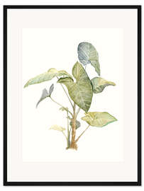 Gerahmter Kunstdruck Tropische Pflanze I