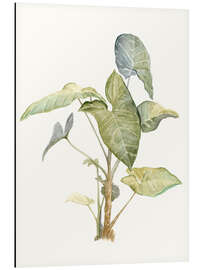 Magnettafel Tropische Pflanze I