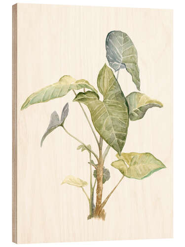 Wood print Tropical plant I