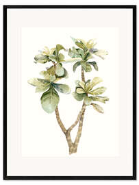 Framed art print Tropical plant II