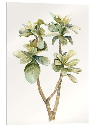 Gallery print Tropical plant II