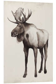 Foam board print Moose in the far north