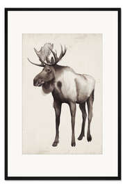 Gerahmter Kunstdruck Elch im hohen Norden