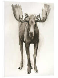 Gallery print Majestic moose