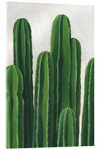 Acrylic print Cacti column study