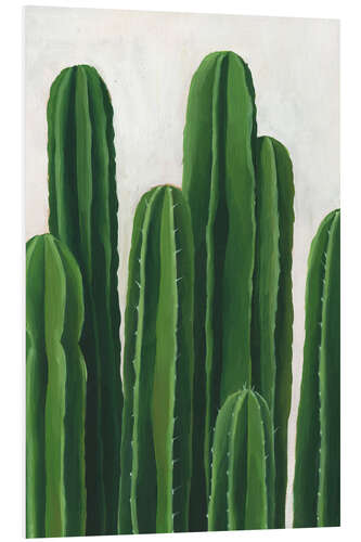 Foam board print Cacti column study