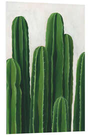 Foam board print Cacti column study