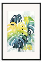 Gerahmter Kunstdruck Monstera im Abendlicht I