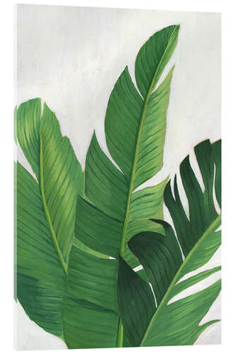 Acrylic print Palm leaf study