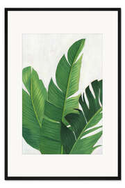 Gerahmter Kunstdruck Palmenblattstudie