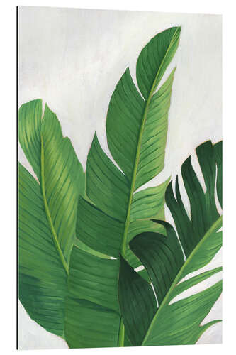 Gallery print Palm leaf study