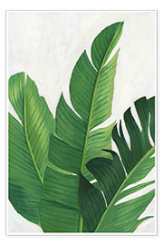 Wall print  Palm leaf study - Grace Popp