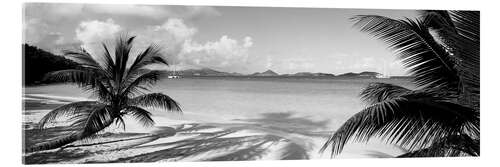 Acrylglas print Beach on the virgin islands