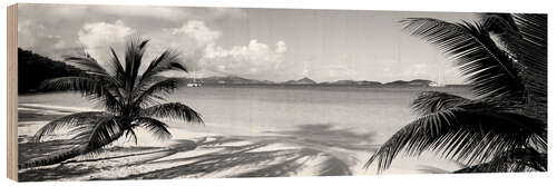 Wood print Beach on the virgin islands