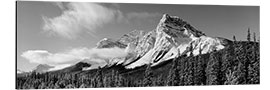 Print på aluminium Rocky Mountains at Alberta, Canada