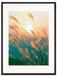 Gerahmter Kunstdruck Schilf im Sonnenuntergang