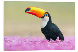 Tableau en aluminium Toucan dans une mer de fleurs