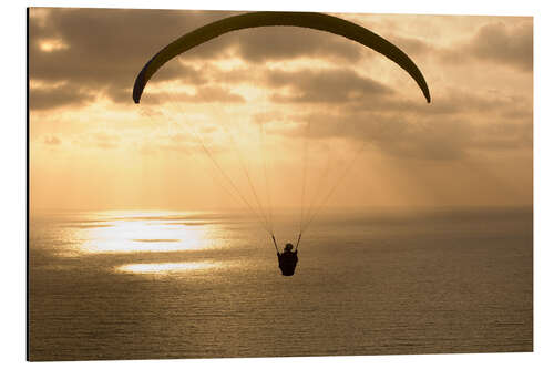 Aluminium print Paraglider over the ocean