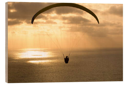 Wood print Paraglider over the ocean