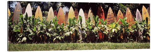 Gallery print A fence made of surfboards