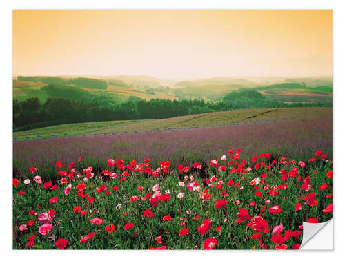 Sticker mural Coquelicots dans un paysage verdoyant