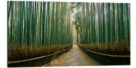 Quadro em alumínio Bosque de bambu de Arashiyama, Kyoto