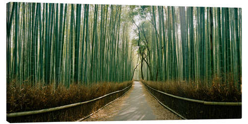 Canvas print Arashiyama bamboo grove, Kyoto