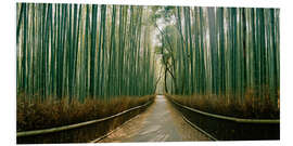 Tableau en PVC Bambouseraie d'Arashiyama, Kyoto