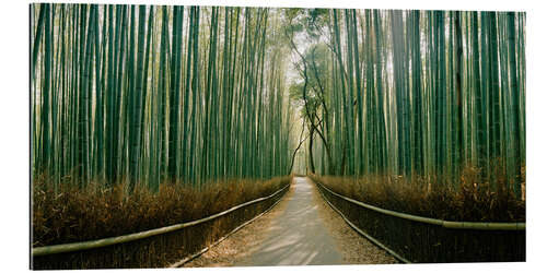 Galleriprint Arashiyama bamboo grove, Kyoto