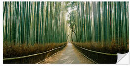 Selvklebende plakat Arashiyama bamboo grove, Kyoto