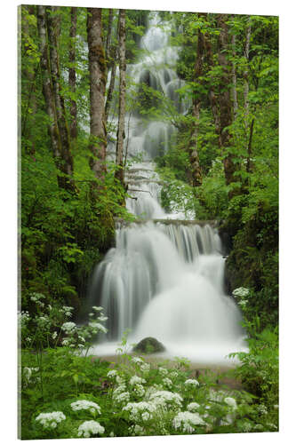 Quadro em acrílico Cachoeira na floresta, França