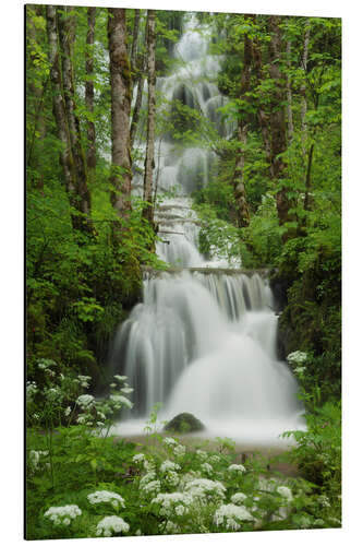 Aluminium print Waterfall in the forest, France