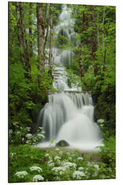 Aluminium print Waterfall in the forest, France