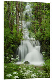 Foam board print Waterfall in the forest, France