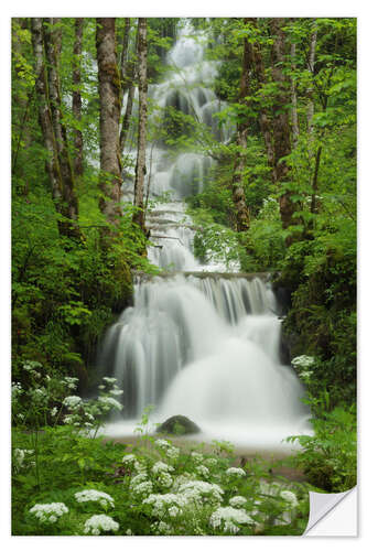 Selvklebende plakat Waterfall in the forest, France