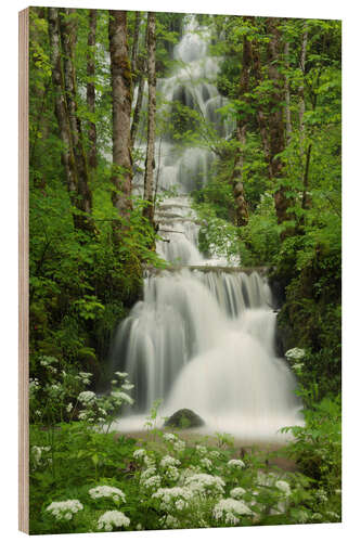 Wood print Waterfall in the forest, France