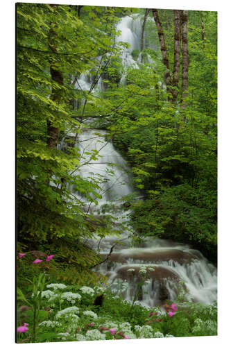 Stampa su alluminio Cascata con fiori in Francia