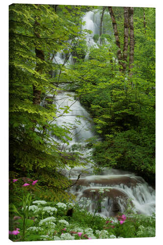 Lerretsbilde Waterfall with flowers in France