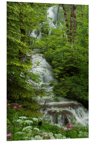 PVC-taulu Waterfall with flowers in France