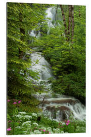 Gallery print Waterfall with flowers in France