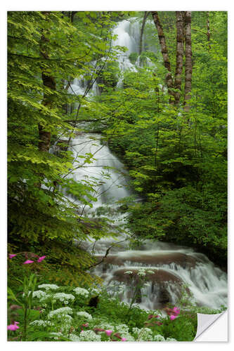 Sisustustarra Waterfall with flowers in France