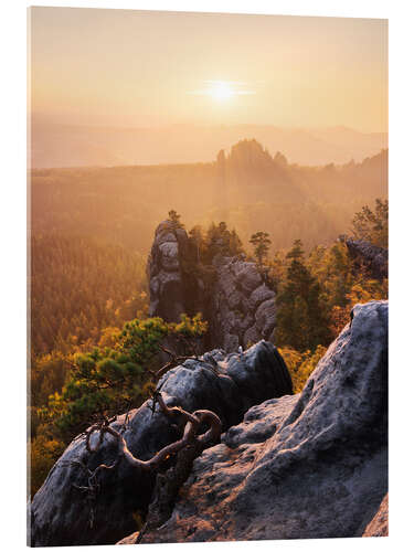 Akrylglastavla Evening in the Elbe Sandstone Mountains