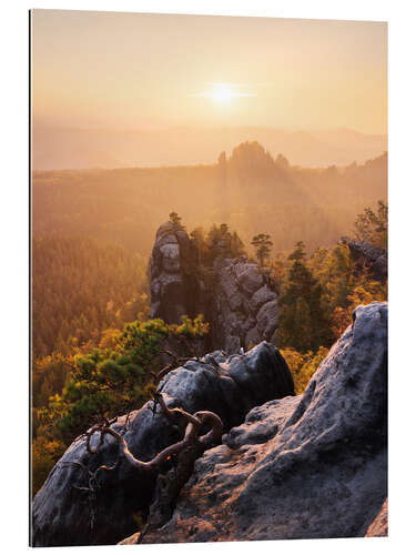 Tableau en plexi-alu Matin dans les montagnes de grès de l'Elbe